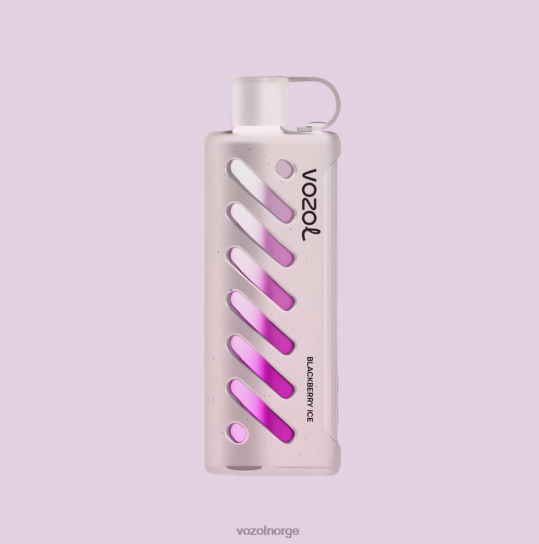 VOZOL gir shisha 25000 P8T2B1 - Vozol Vape Norge